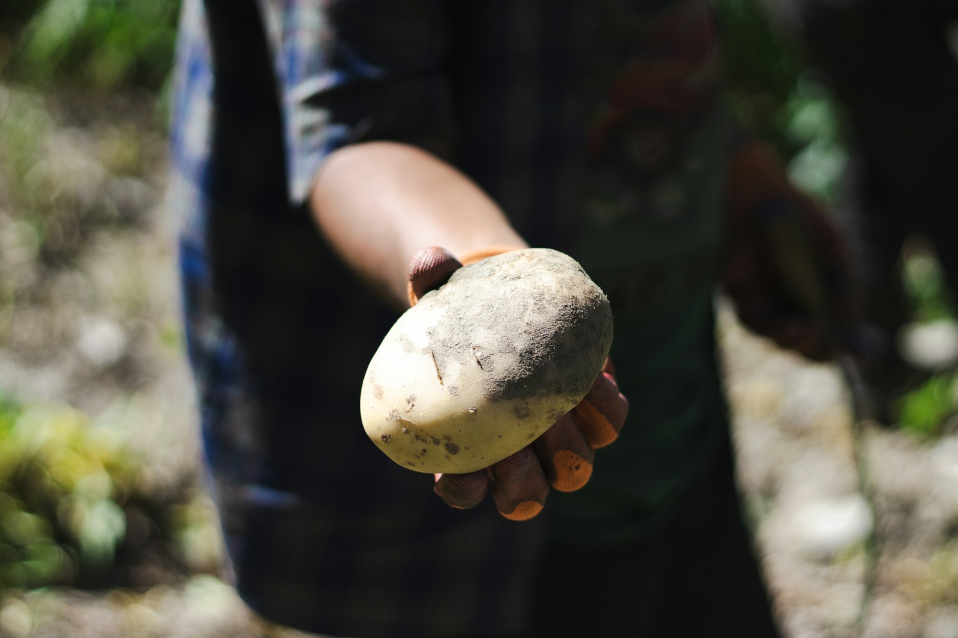A person holding a piece of fruit in their hand